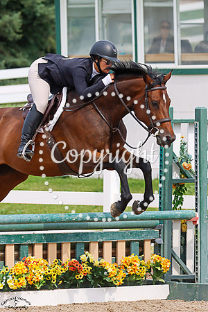 Cabalitos_Valentine_(489)_20250716_1461