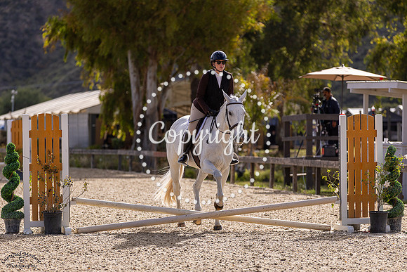 Fine_Design_(802)_20250426_8688