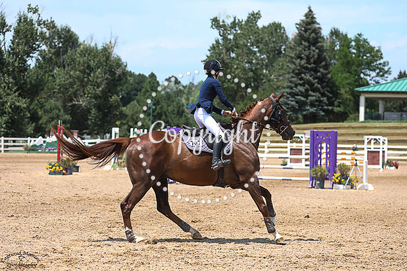 Lincoln_(707)_20250718_0681