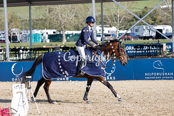 BARCLINO_B_(624)_20250403_1932