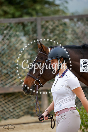 Fiona_(1408)_20241016_3986