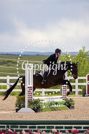 Royal_Warrant_(1288)_20250613_0366