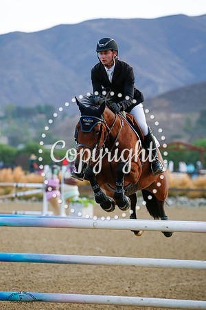 Starfly_(511)_20241003_0618