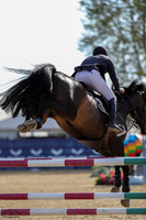 Kayenne_Z_(869)_20250410_3557