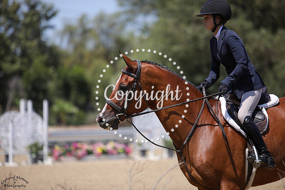 Chaperone_(494)_20250717_1487