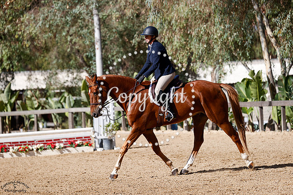 Ultimate_(1513)_20241018_7844