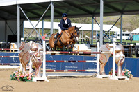 INDIGO_BLUE_(301)_20250507_0312