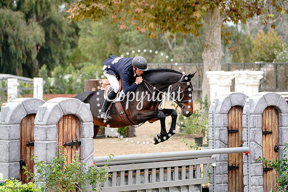 Azucar_(1671)_20241018_0305