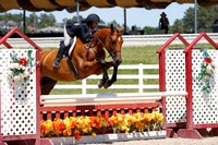 Verdon_Z_(1114)_20250621_5025