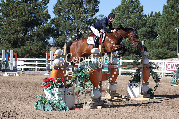 Flinstering_(1248)_20250706_5368