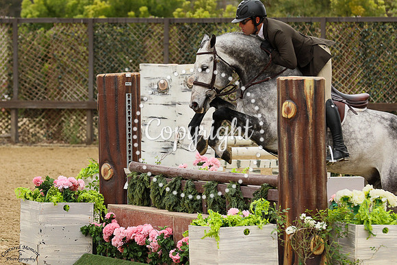 Kannon_Hill_(434)_20250415_0134