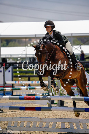 Ghf_Phixin_2_(1329)_20250627_3709