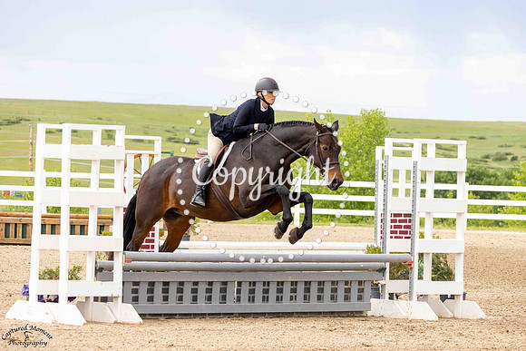 Royal_Warrant_(1288)_20250613_0856