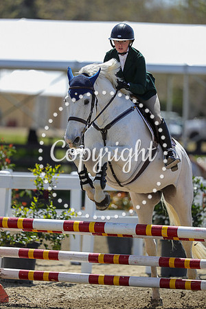UNFORGETTABLE_(392)_20250404_2313