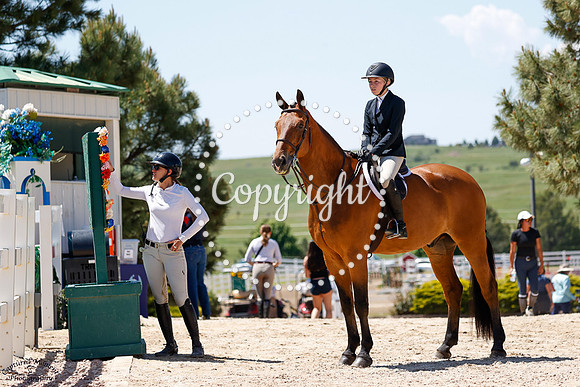 Foster_(1033)_20250613_1631