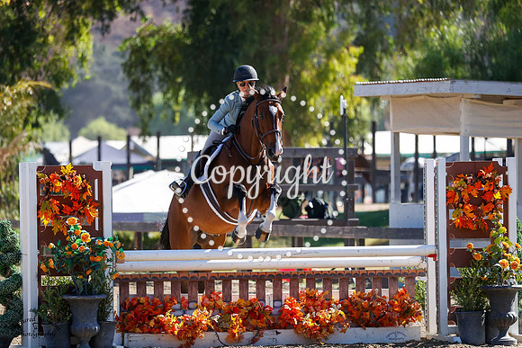 All_In_Favor_(1304)_20241009_6083