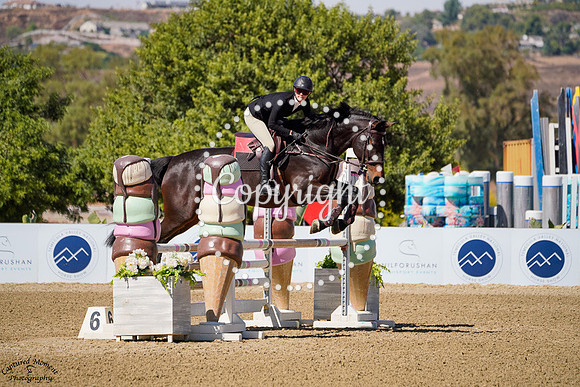 Cornet_Sapphire_(869)_20241011_0559