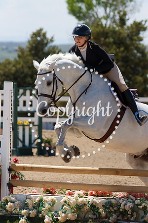 Silver_Oak_(179)_20250523_3789