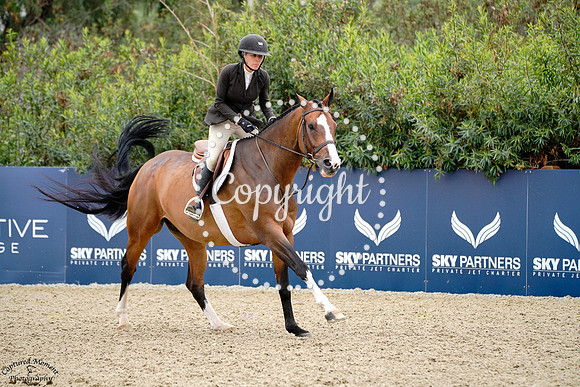 Chimansky_3_(479)_20250612_2458