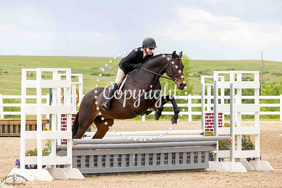 Royal_Warrant_(1288)_20250613_0828