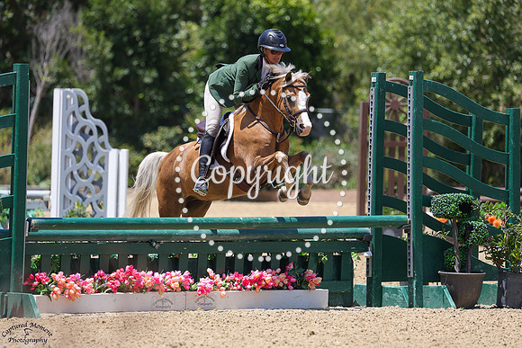 Cwmfelen_Andy_Pandy_(571)_20250625_1065