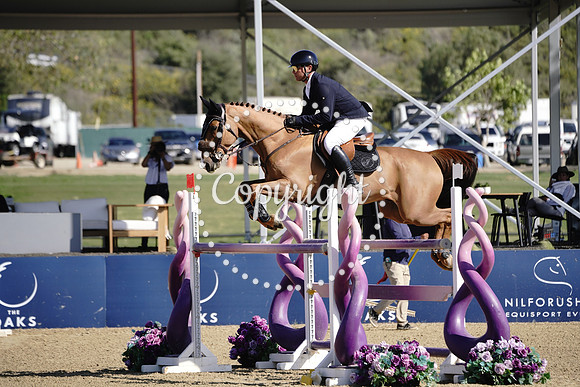 INDIGO_BLUE_(301)_20250508_1962