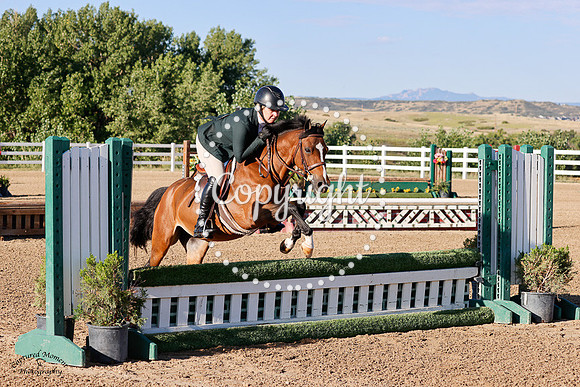 Woodlands_Qt_Pie_(524)_20240904_0061