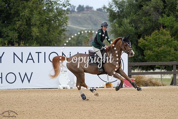 Jolie_Fleur_Buissonniere_(450)_20250416_0973