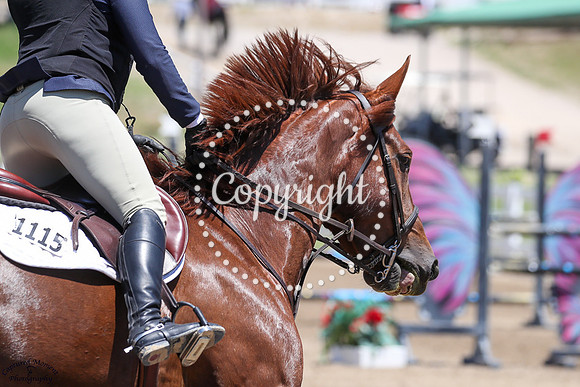 Fidji_De_La_Blonderie_(1115)_20250618_0888