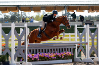 Capistrano_Z_(593)_20250522_3746