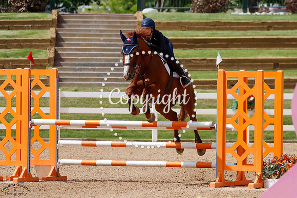 Untouched_Z_(1132)_20250612_0183