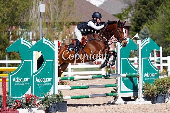 Calvada_Oder_Calypso_Ii_(572)_20250522_3215