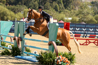Ff_Buttercup_(853)_20250718_2903