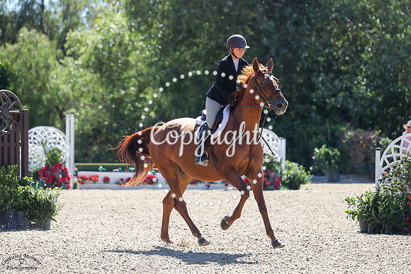 Amames_Brimbelles_Z_(1225)_20250725_3104