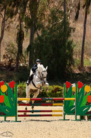 Dolliebanta_(1492)_20250626_0201