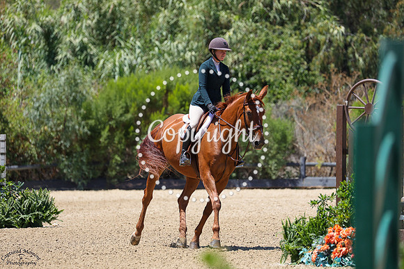Amames_Brimbelles_Z_(1225)_20250723_1638