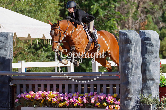 Got_Your_Back_(690)_20250703_1944