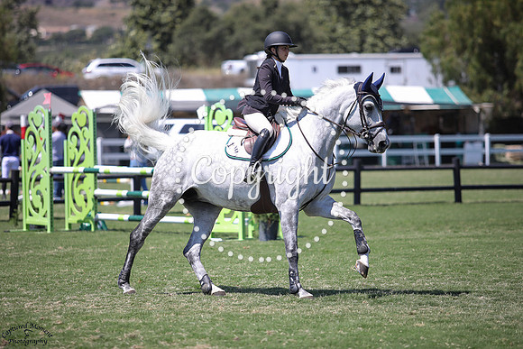 Clintina_(199)_20250719_4111