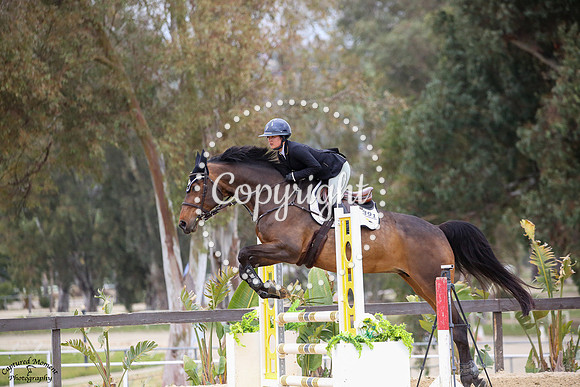 Diva_Mh_(391)_20250415_6160