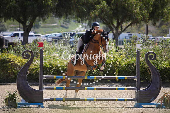 Stenbaekgaards_Mojito_(329)_20250515_7122