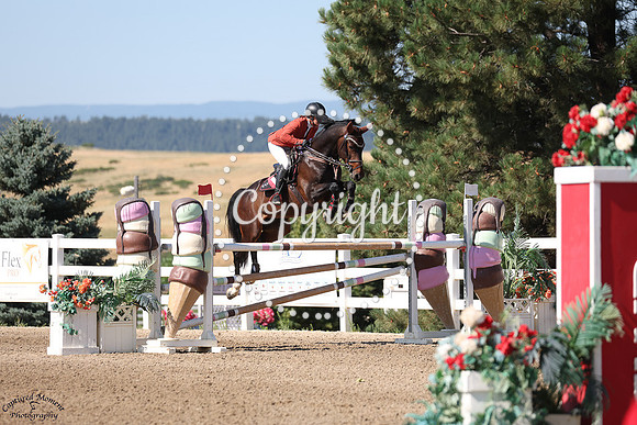 Bobby_(656)_20250720_1565