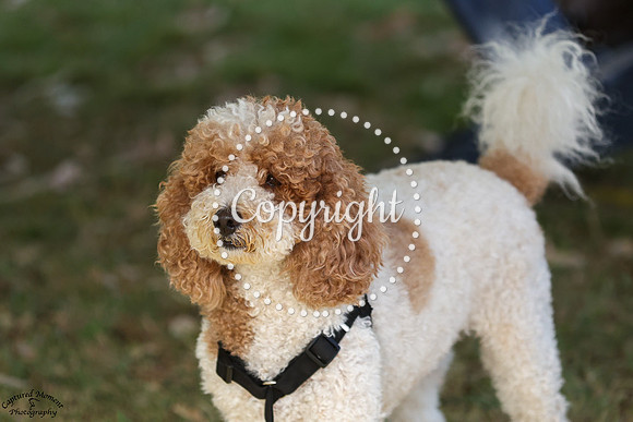 Alex_Zander_(1658)_20241018_3506