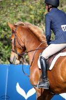 GFF_VIOLA_(160)_20250404_0137