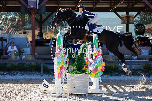 Checkered_Past_(575)_20241009_0019