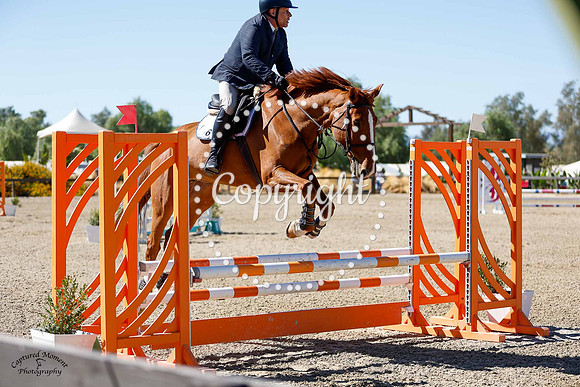 Kensington_(606)_20241012_0727