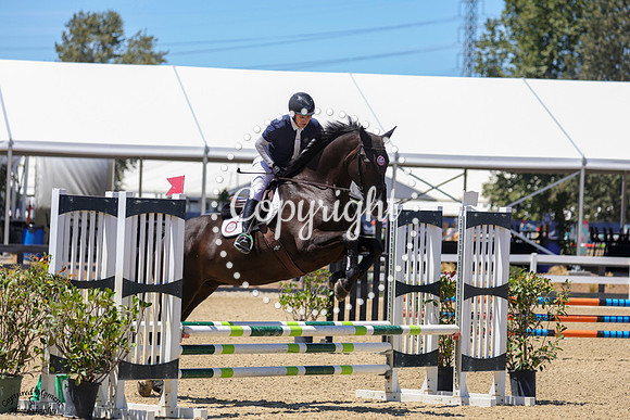 Oatfield_Diamond_(1151)_20250724_4739