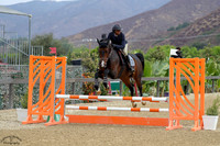 Concolue_(1452)_20241018_1651