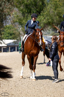 Imperial_(488)_20250423_2013