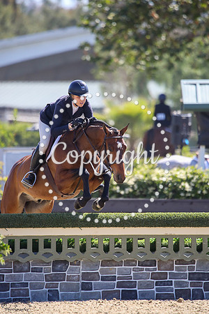 Ventura_Tw_(956)_20250515_1302