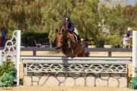 Con_Figaro_(845)_20250413_4695